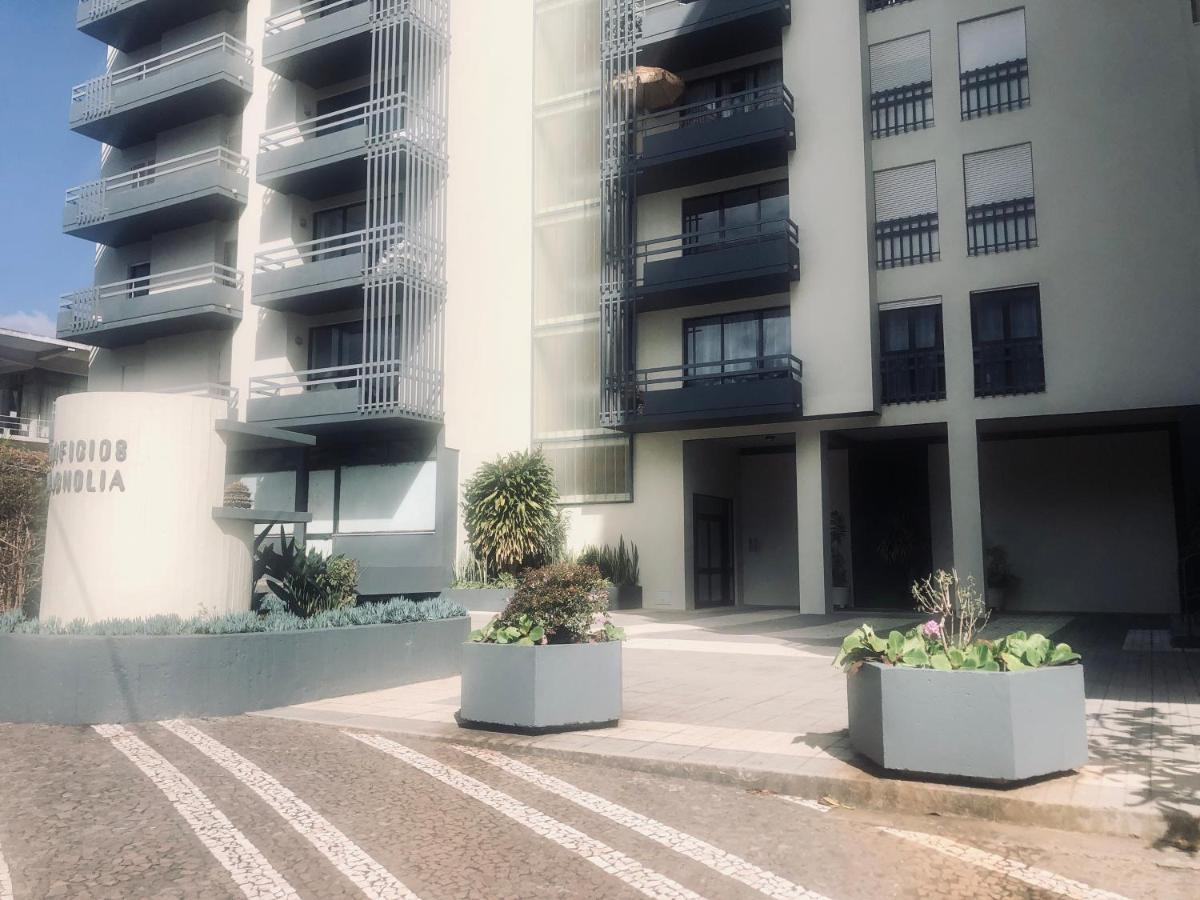 Blue River - Rua Dr Pita - Rooms Near Jardim Magnolia Funchal (Madeira) Exterior photo